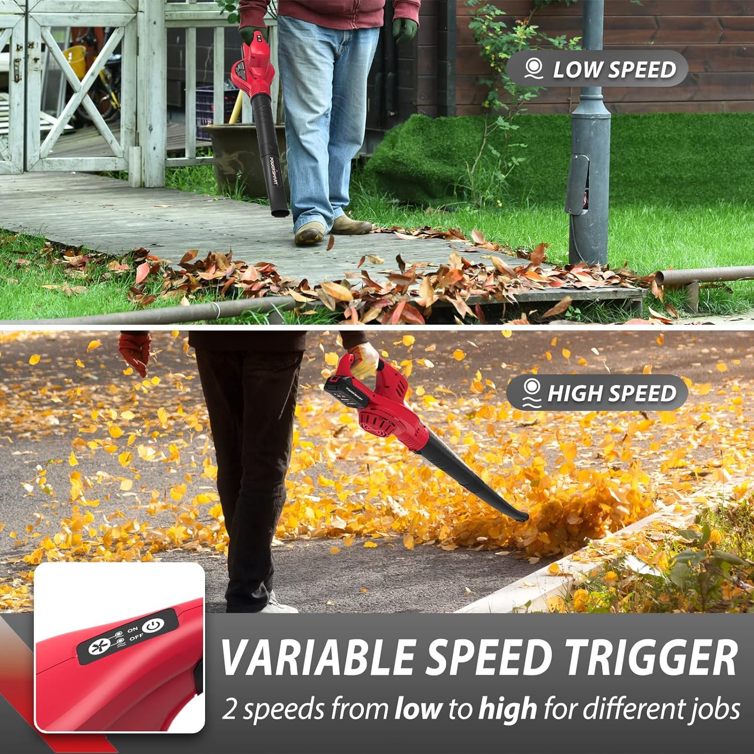 https://m.media-amazon.com/images/I/81LED80bj7L.jpg