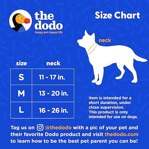 Miniatura 6 de The Dodo Juego de collar y correa amarillo de nailon, mediano bonito juego de correa y collar a juego juego de correa y collar impermeable para