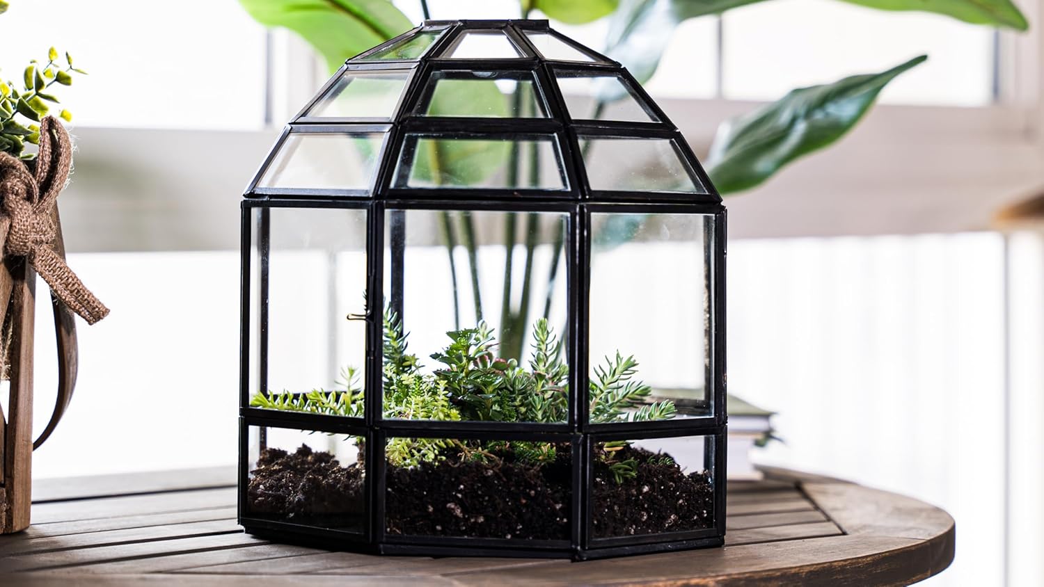 Handmade Birdcage Large Glass Terrarium — 10" x 9" x 9" (Black)