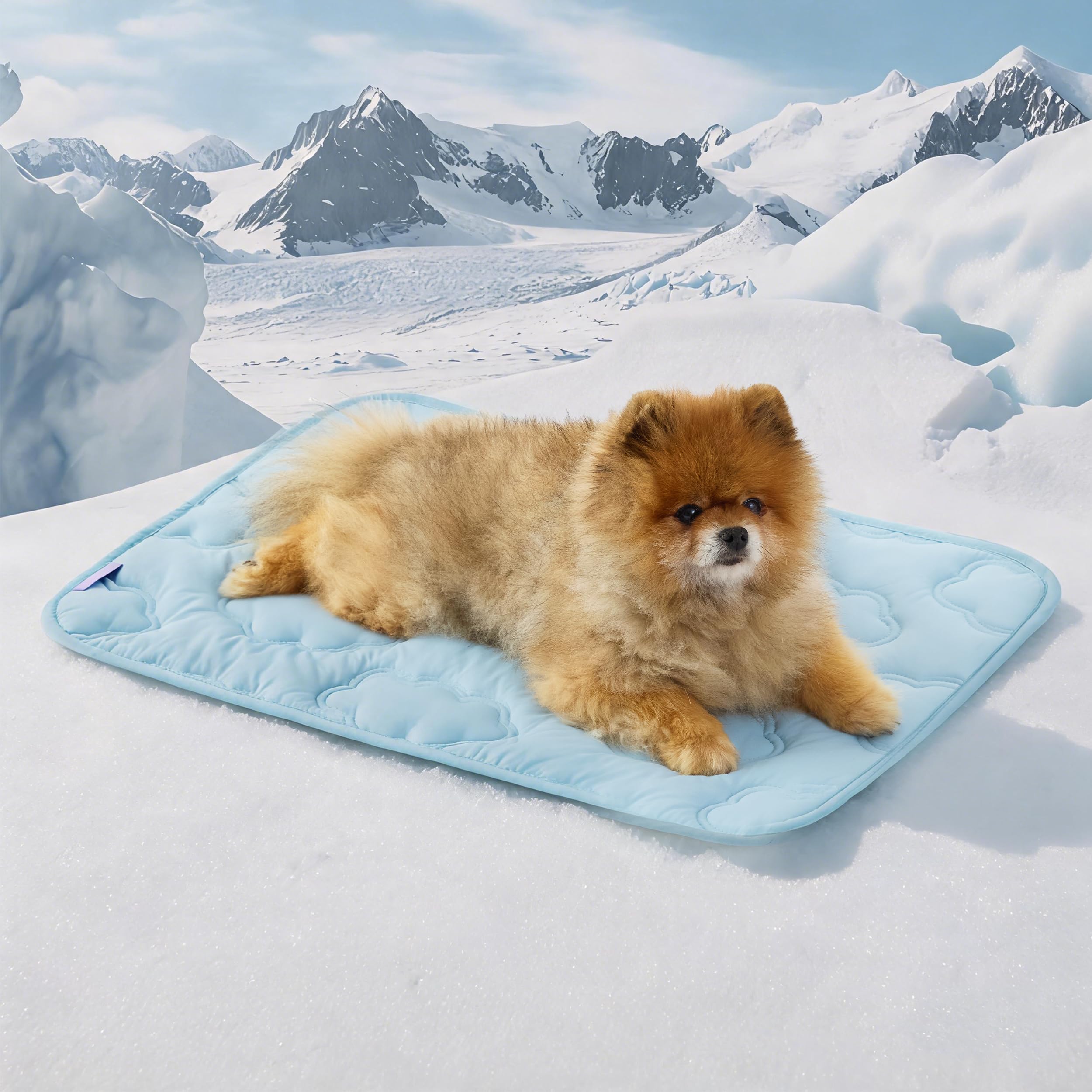 Amazon | 【極冷感 Q-MAX 0.5超】Lesure ペット ひんやりマット 犬 猫