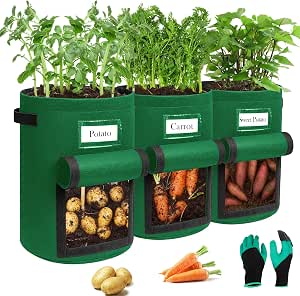 Confezione da 5 sacchi da coltivazione da 20 litri,vasi da fiori spessi in tessuto non tessuto con manici,adatti per la coltivazione di piante, frutta | Leroy Merlin