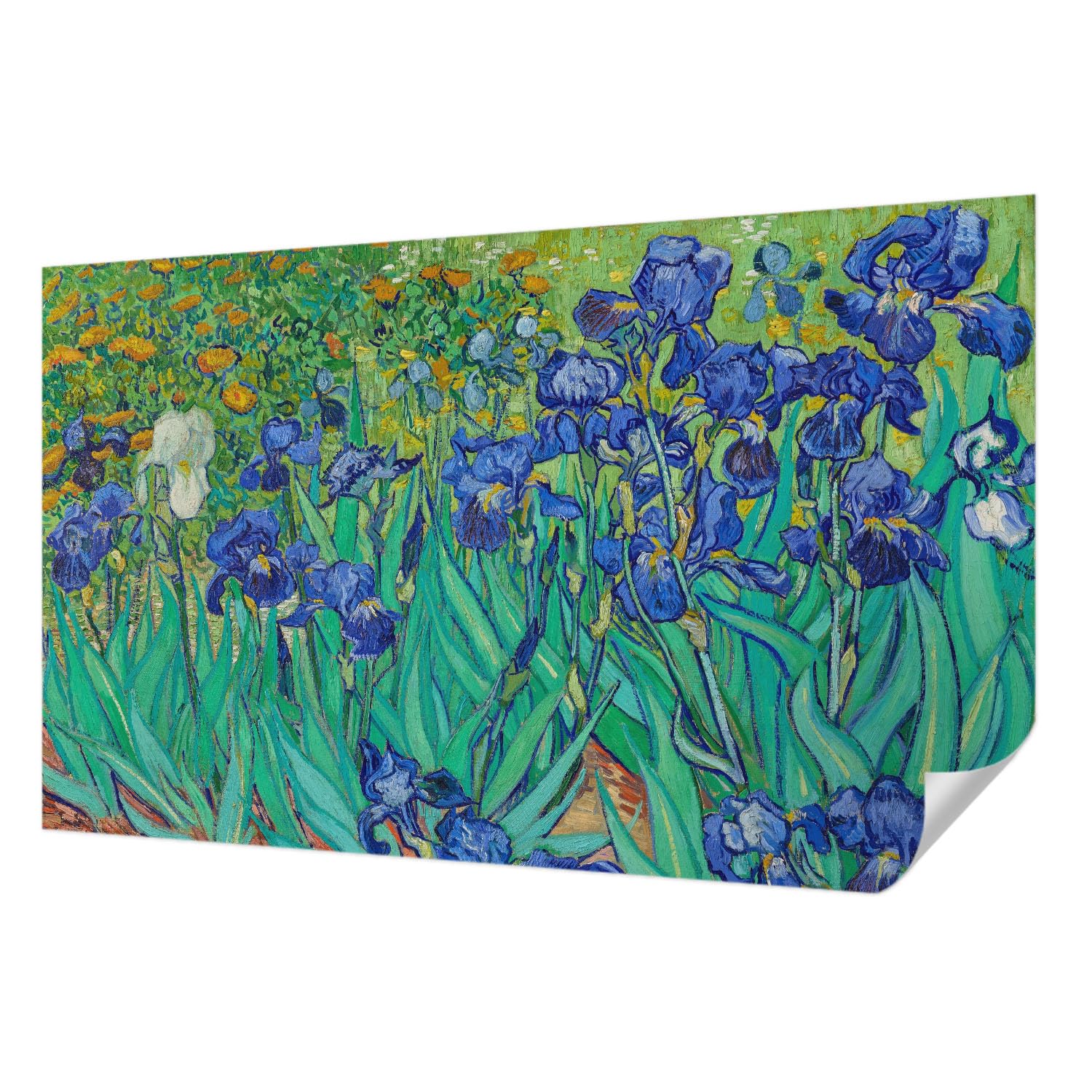 Papier peint autocollant fleurs du jardin Tulup 416x254 cm pour salon