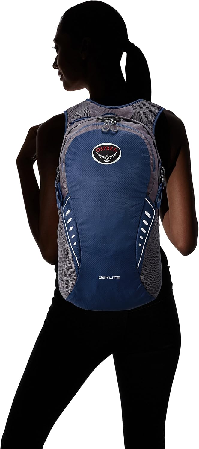 Osprey Daylite Backpack (Spring 2016 Model), Steel Blue, O/S