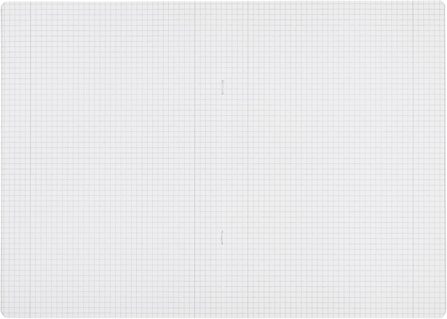'Recycled "LANDRE 100050215 Notepad A4 16 Sheets Line Style 25 (Lined/Margin 80 g/m², Blue Angel Environment Sign (Pack of 10 Book "Recycling", A4, 16 Pages, Lineage 28 - Chequered / Margin Left and Right 0