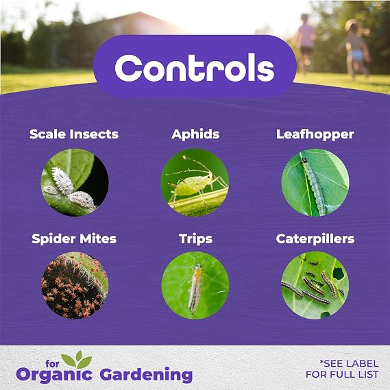 Bonide All Seasons Horticultural & Dormant Spray Oil, 16 oz Concentrate, Disease Prevention & Insect Killer for Organic Gardening
