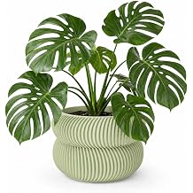 SOOQOO Large 3D Printed Modern Minimalist Planter Pots - 10 Inch Planter Pots with Drainage Plug - Large Flower Planter for Indoor Plants - Biodegradable Flower Planter for Home Garden Office Avex