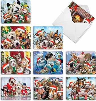 Best Card Co 20 Christmas Mini Bulk Notecards Zoo AM6652XSG-B2x10