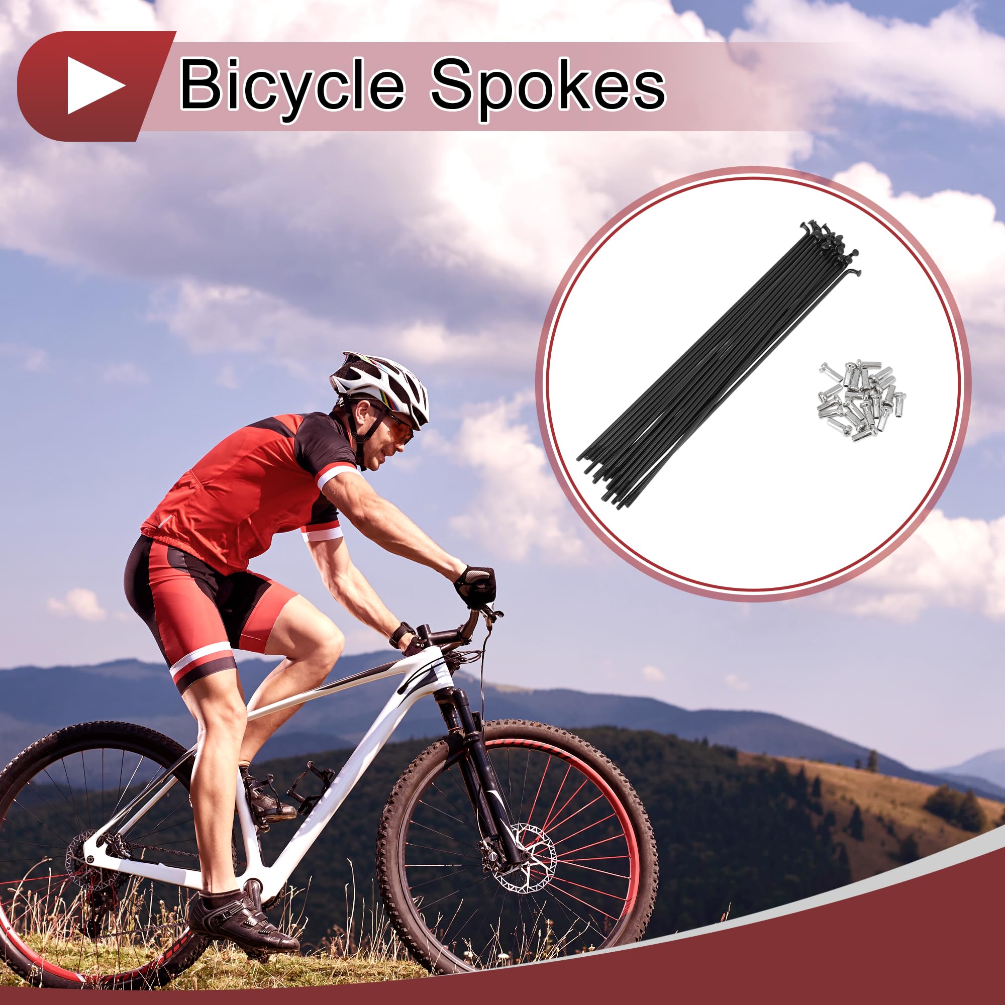 View 2