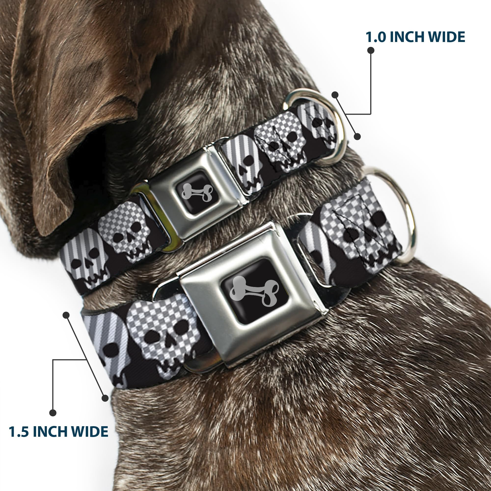 Buckle-Down Obroża dla psa z klamrą pasa bezpieczeństwa - czaszki w kratkę i paski czarne/białe/szare - szerokość 3,8 cm - pasuje na szyję 45-81 cm, rozmiar L