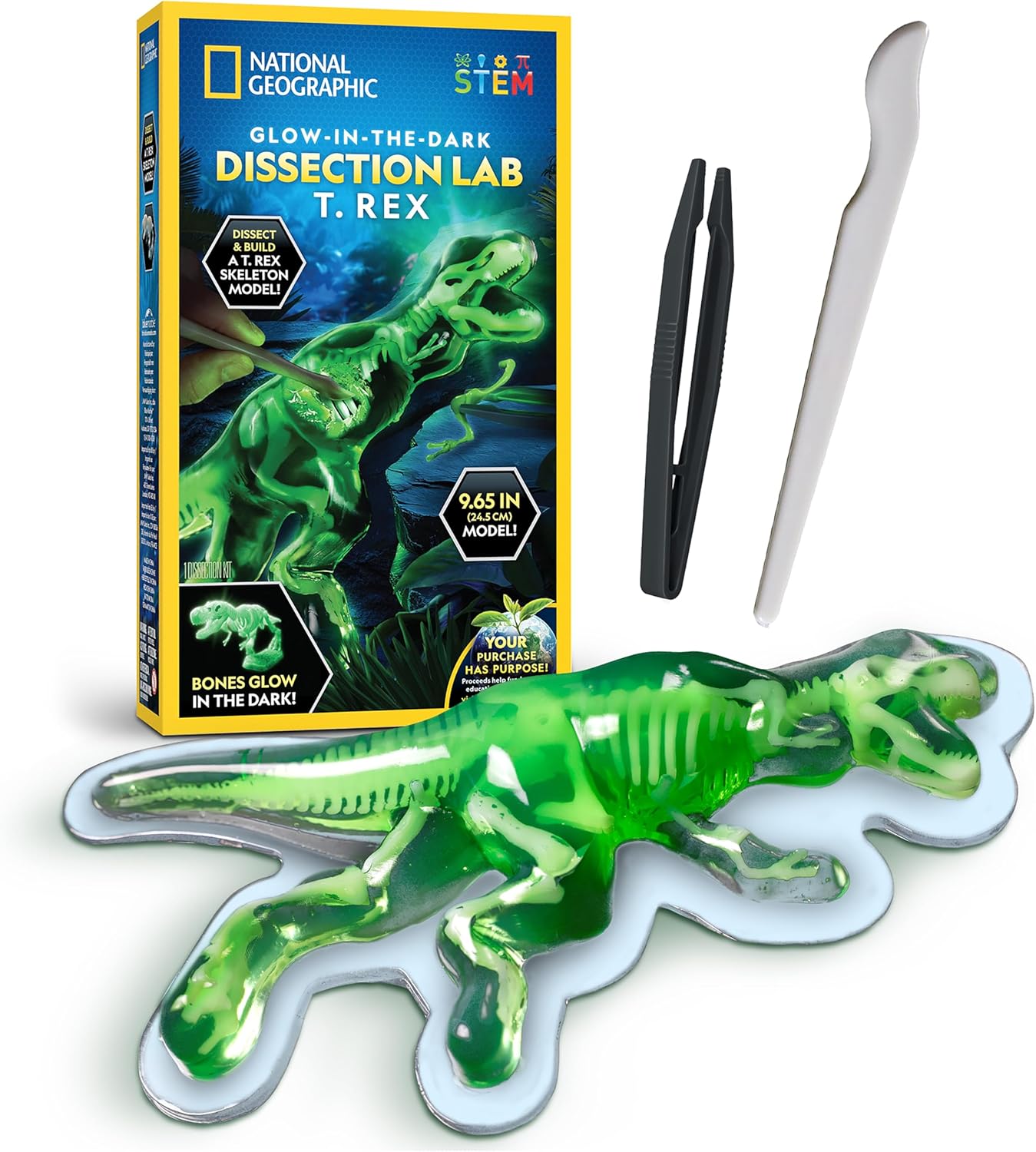 National Geographic Glow-in-The-Dark T. Rex Dissection Lab – Dissect a Synthetic Dinosaur, Build a 9.5” Glowing Tyrannosaurus Skeleton Model, Includes Refill Pack and Learning Guide, Dinosaur Toys