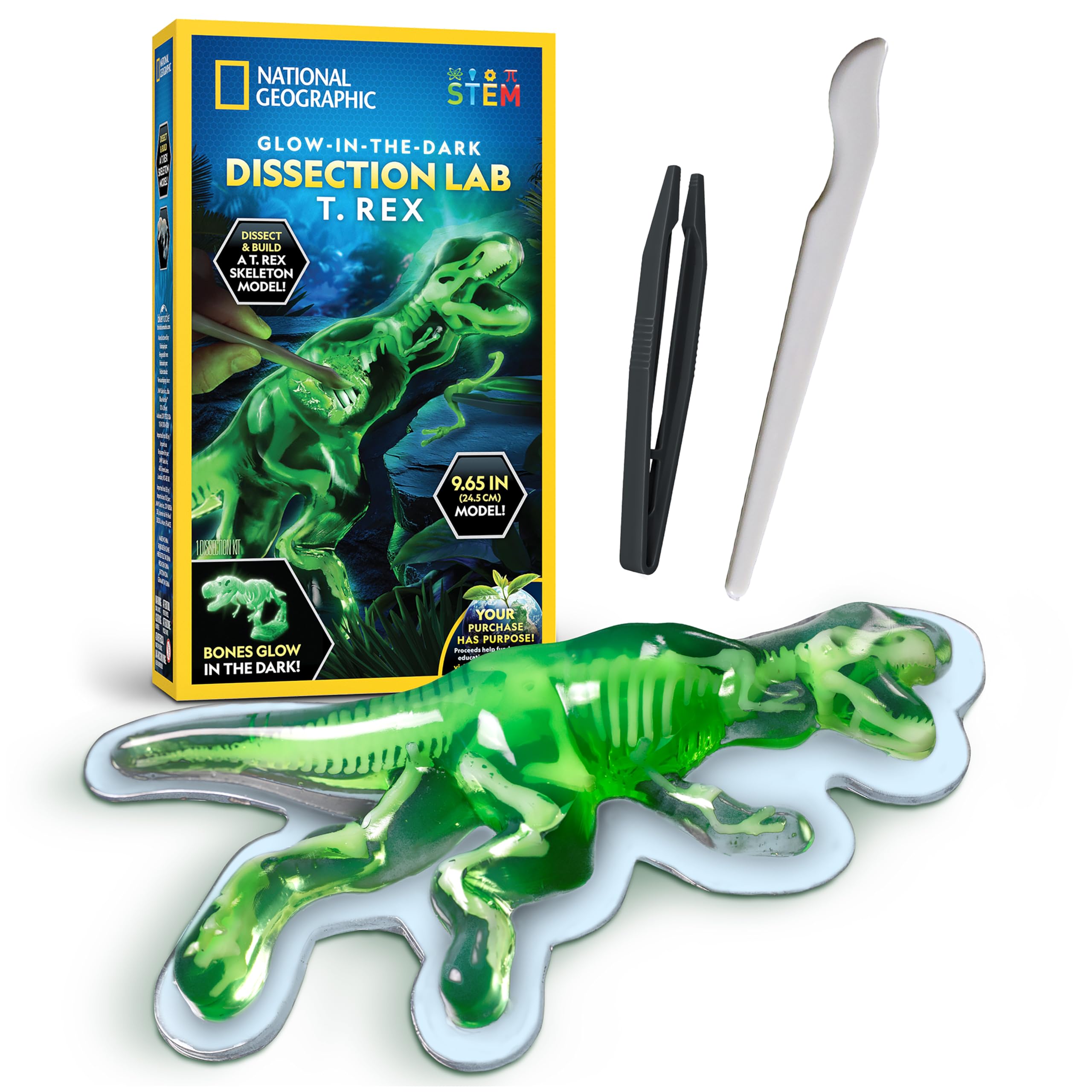 National Geographic Glow-in-The-Dark T. Rex Dissection Lab – Dissect a Synthetic Dinosaur, Build a 9.5” Glowing Tyrannosaurus Skeleton Model, Includes Refill Pack and Learning Guide, Dinosaur Toys