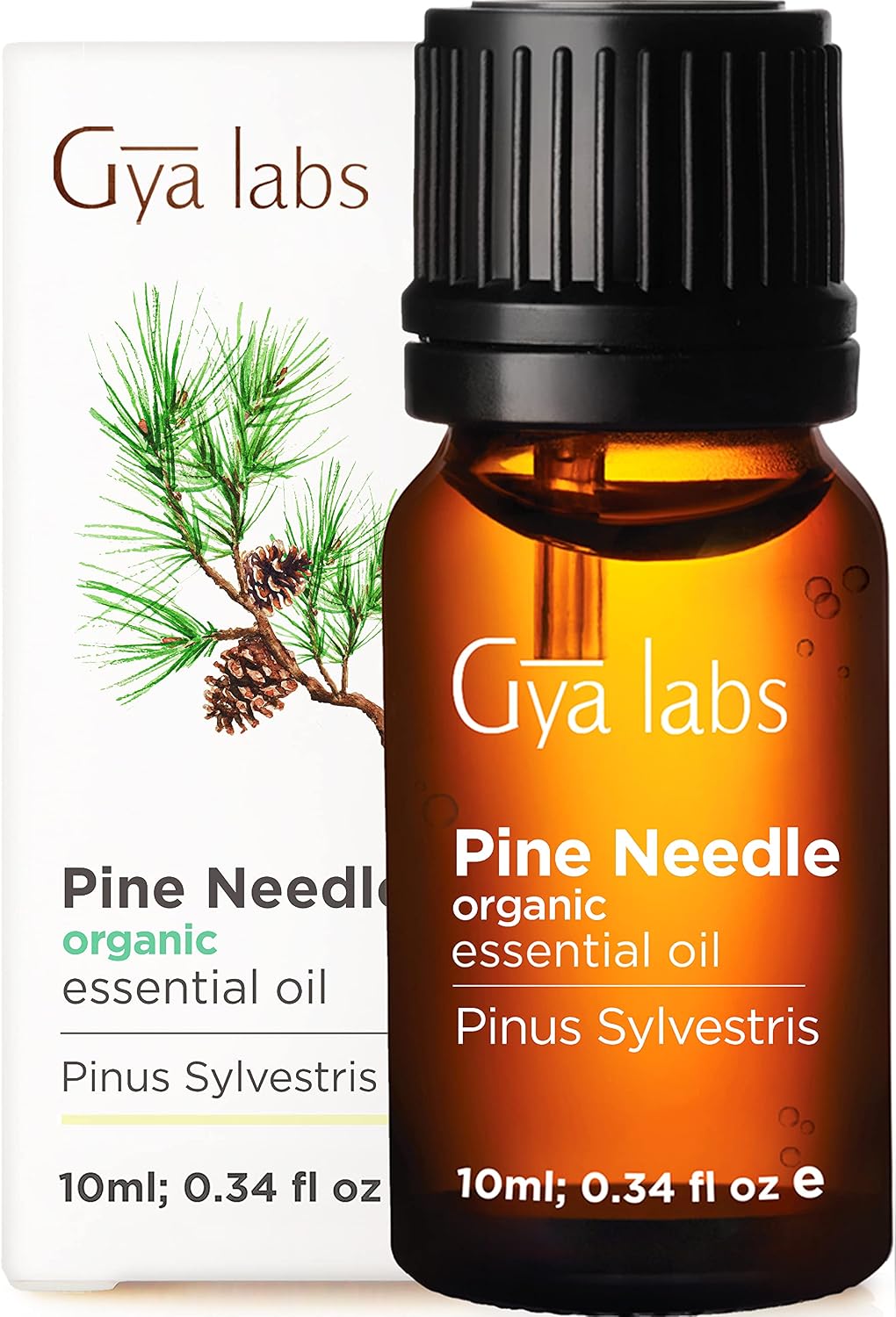 Gya Labs Organic Pine Needle Essential Oil - 10ml - for Skin Hair, Diffuser, Aromatherapy, DIY Candle Making Scents