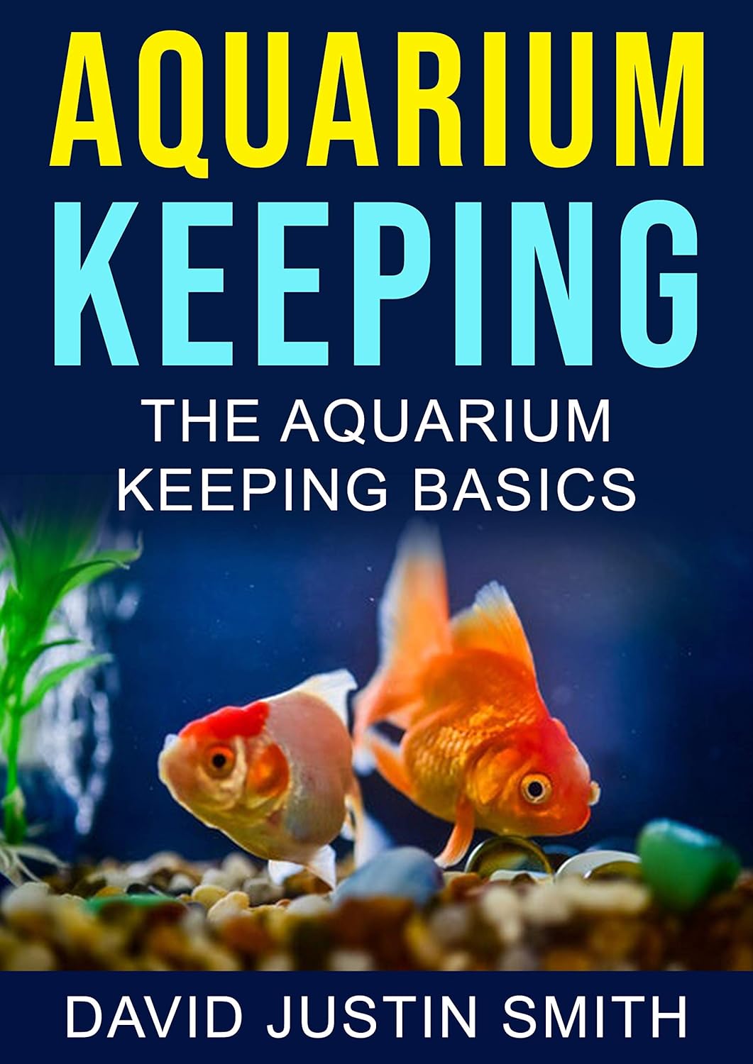 Aquarium Keeping The Aquarium Keeping Basics(Aquarium keeping, aquarium keeping course