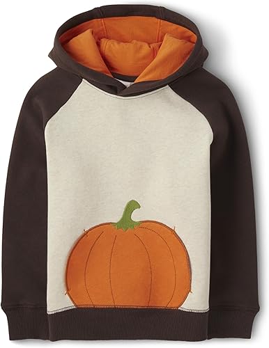 Gymboree Sudadera de manga larga para niños y niños pequeños