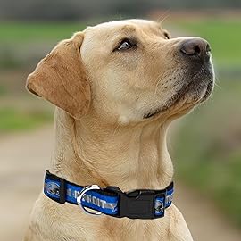 Pets First NFL Detroit Lions Licensed PET COLLAR, Large - Heavy-Duty, Strong, and Durable Dog Collar. Available in 31 Football Teams and 4 Sizes