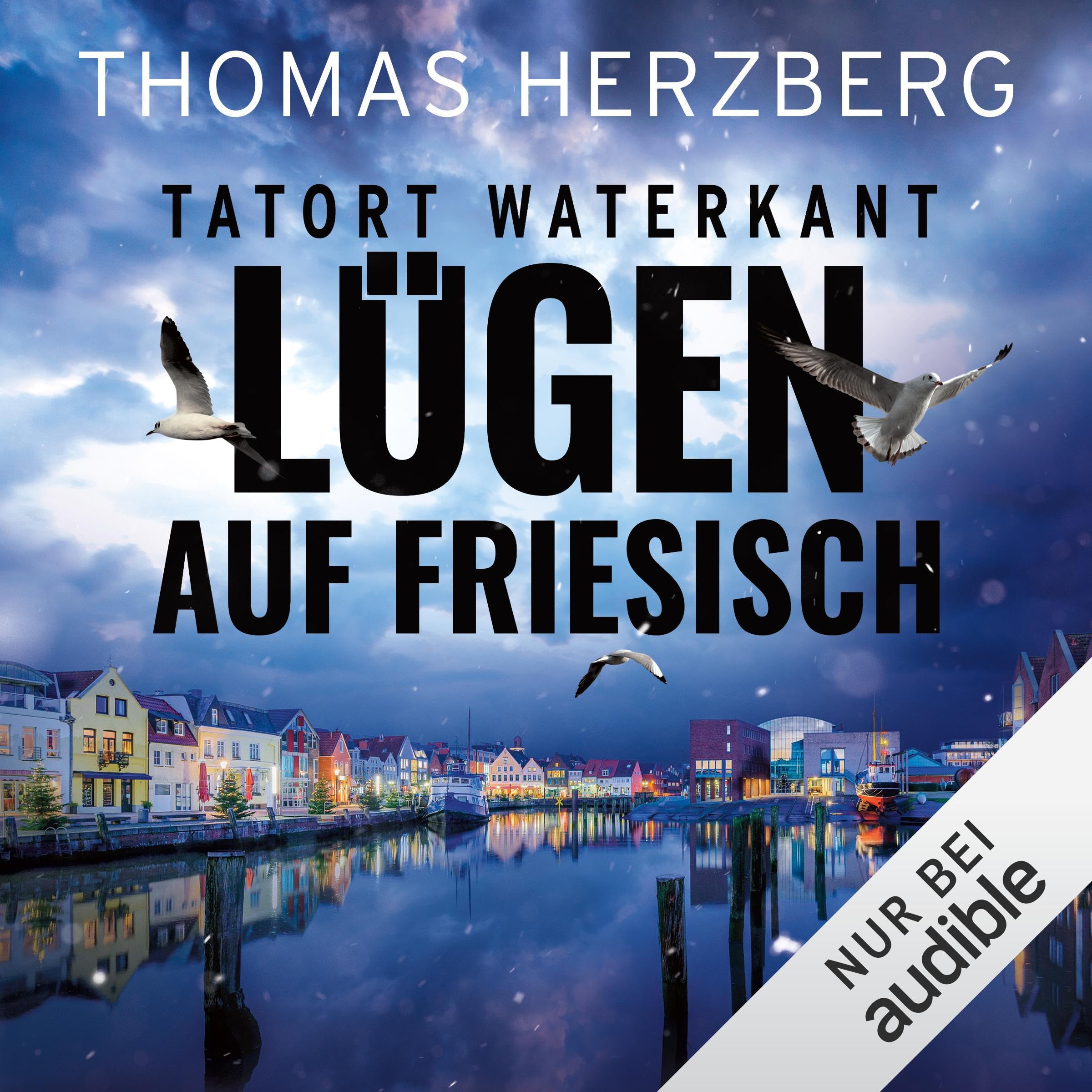 Cover art for Lügen auf Friesisch