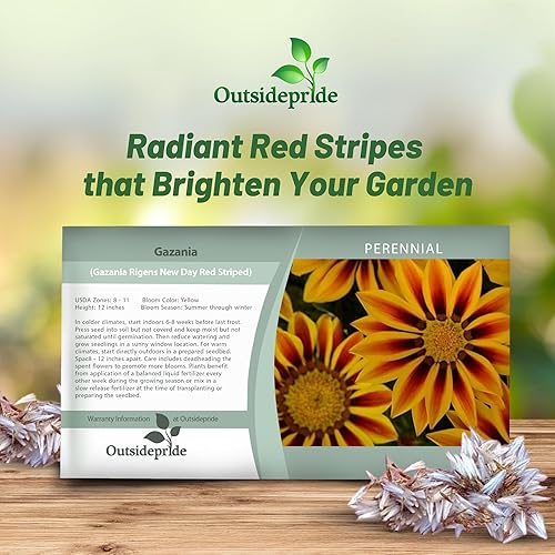 Miniatura 5 de outsidepride Gazania Jardín líder rojo rayas Amarillo