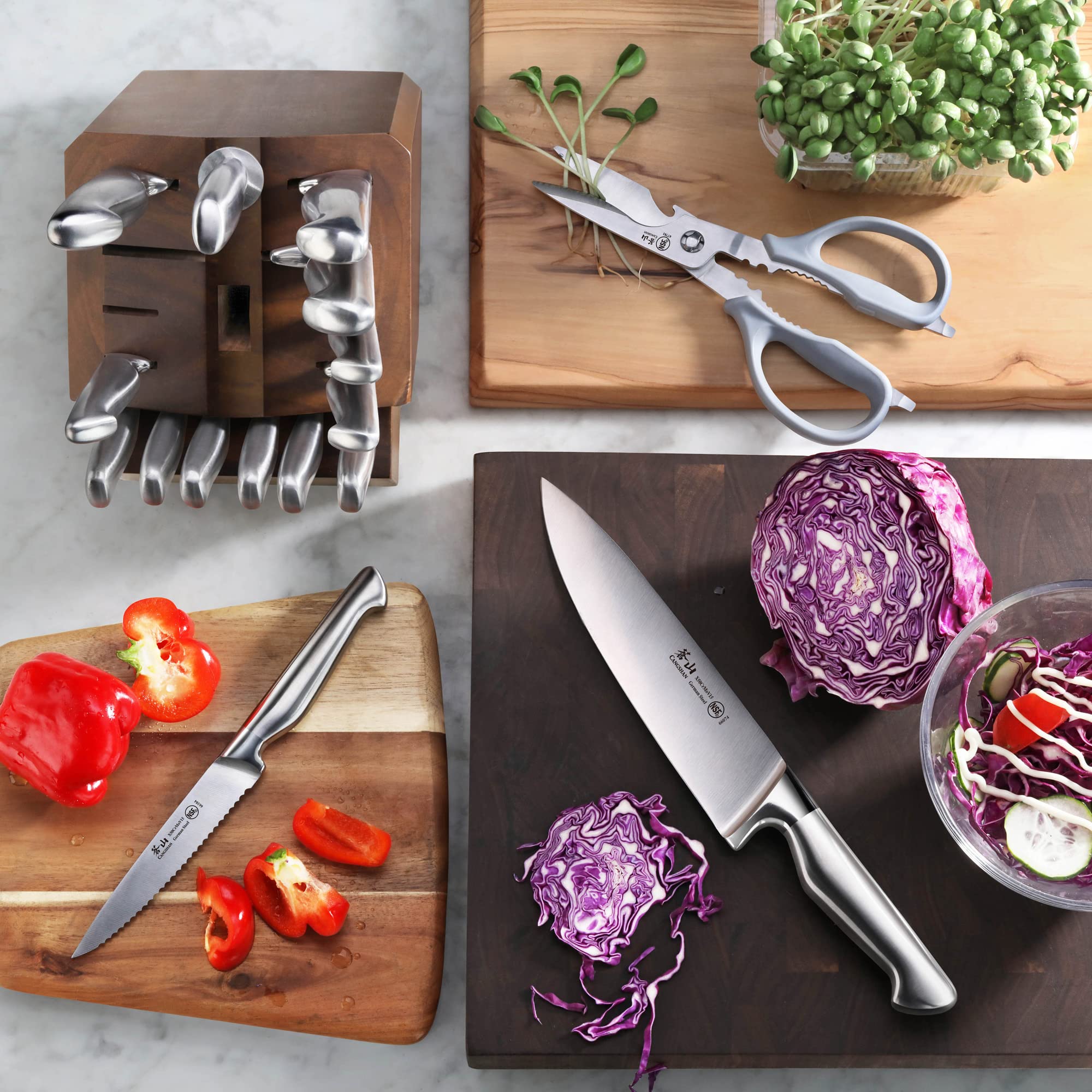 Amazon.com: Cangshan Sanford Series 1027051 German Steel 17-Piece