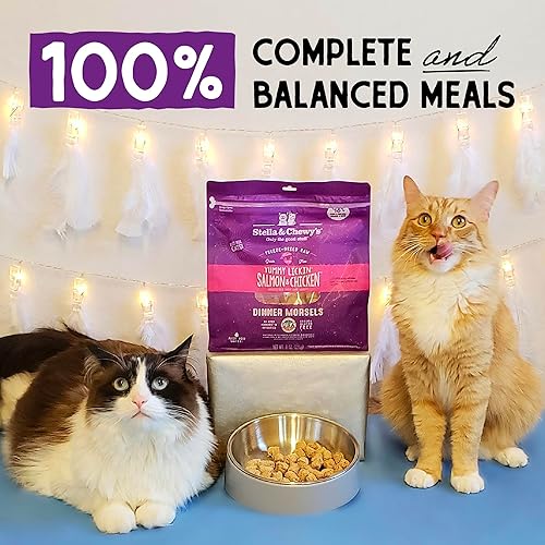 Miniatura 29 de Stella & Chewy's - Bocadillos liofilizados crudos para gatos.