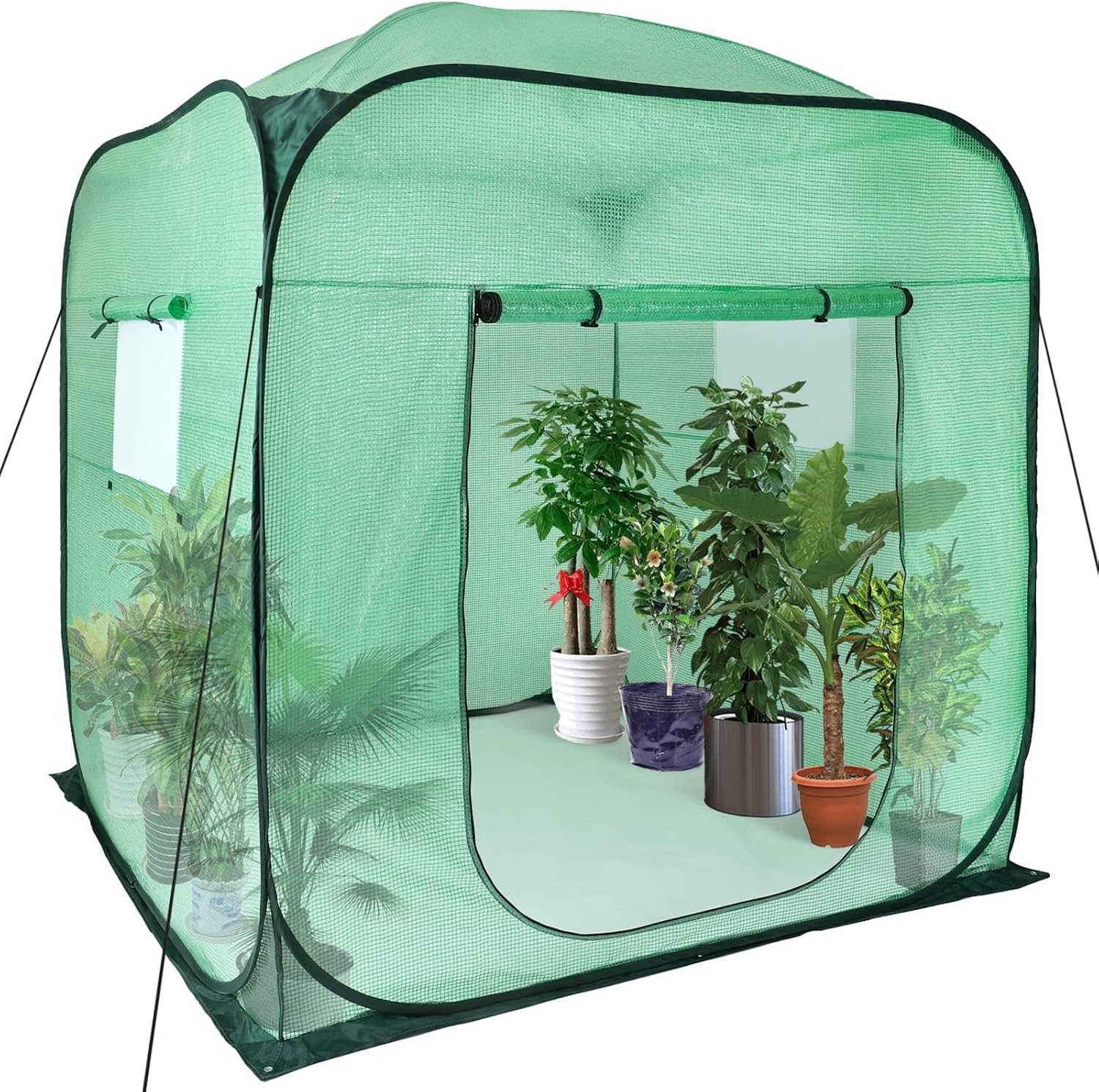 Upgraded Pop-Up Plant Greenhouse for Outdoors with Roll-up Zipper Entry Doors and Windows, Durable PE Cover, Walk-in and Portable Fast Set-up Green House with Ground Pegs & Ropes (96"*96"*72")