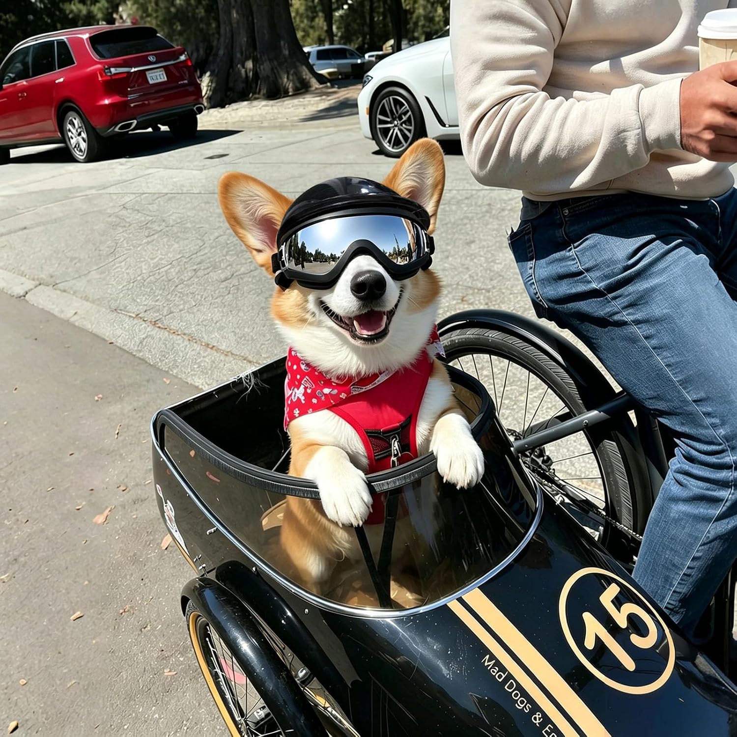 Dog Helmets for Small Dogs, Dog Helmet with Sunglasses for Small to Medium Dogs, Doggy Helmet with Ear Holes, Outdoor Driving Cycling Pet Helmet Goggles, Adjustable
