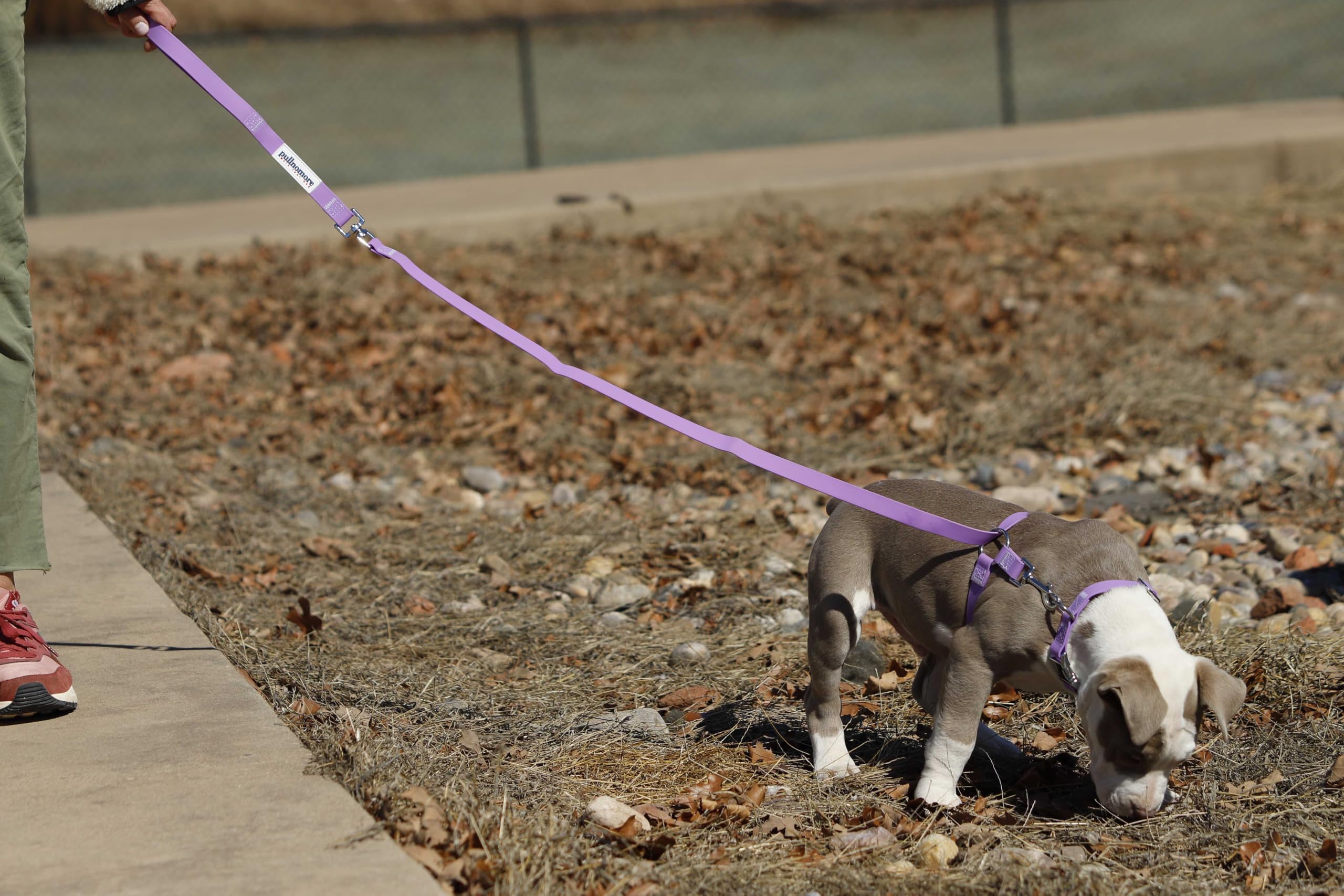 Pullnomore No-Pull Dog Leash and Matching Collar, Instantly Stop Your Dog from Pulling, Durable PVC Material, Multiple Colors and Sizes - image 6