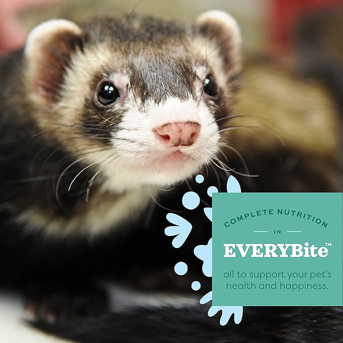 Oxbow Essentials Ferret Food Alimento Para Hurón 4 lb miniatura 6