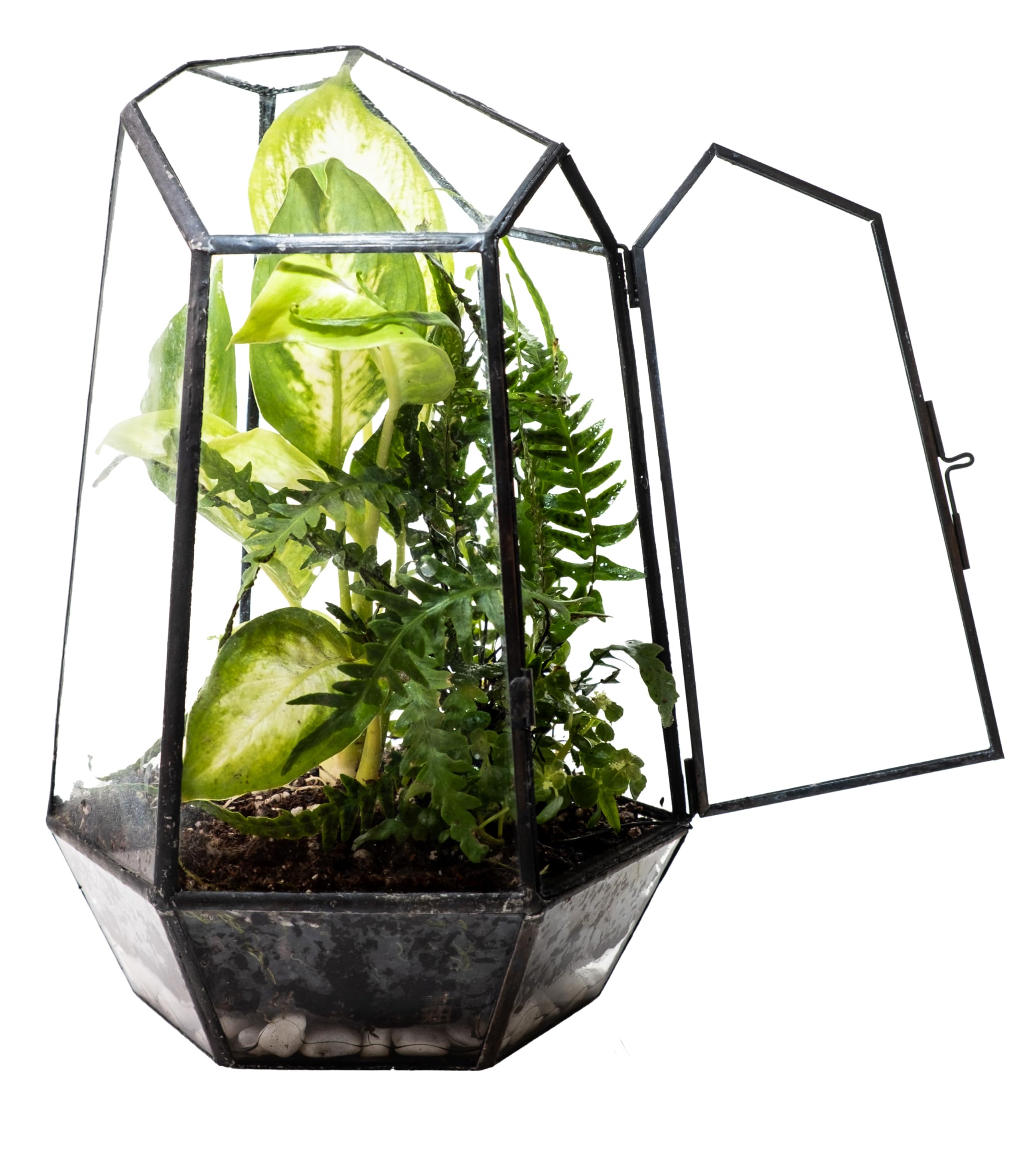 KraftStories Clear Glass Terrarium with Door | Geometric Design Container | Ideal Planter for Moss and Indoor Plants | Maintains Humidity |