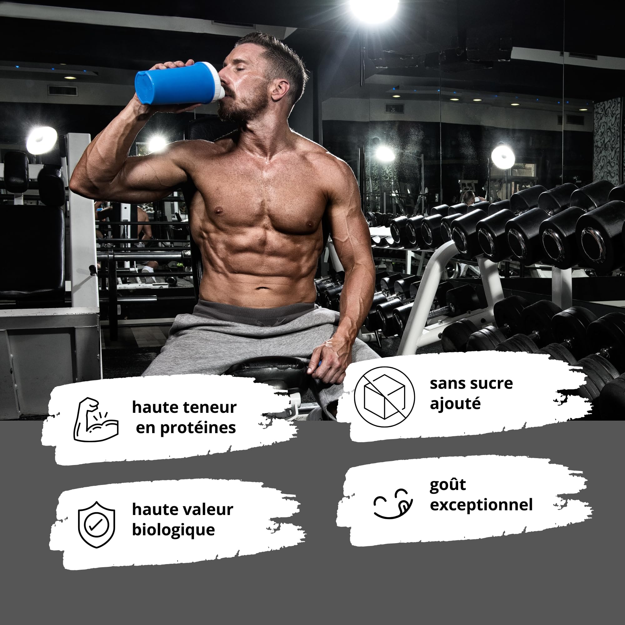 Alphatier Poudre de protéines végétaliennes - Vanille - Poudre de Protéine avec 80% de Protéines - Vanilla Protein Powder - Isolat de protéines de Soja - 1 kg