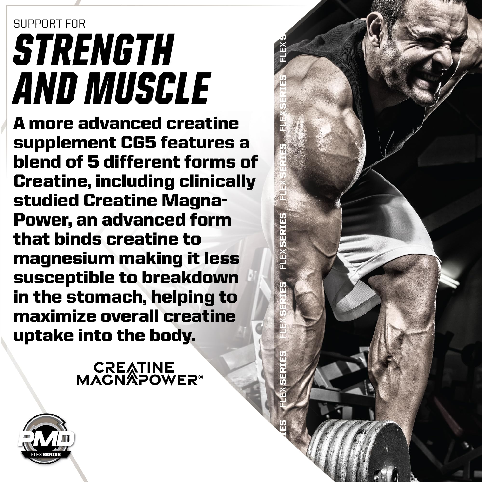 PMD Sports CG5 Creatine & L-Glutamine Powder Unflavored - 60 Servings — Amazon image 9