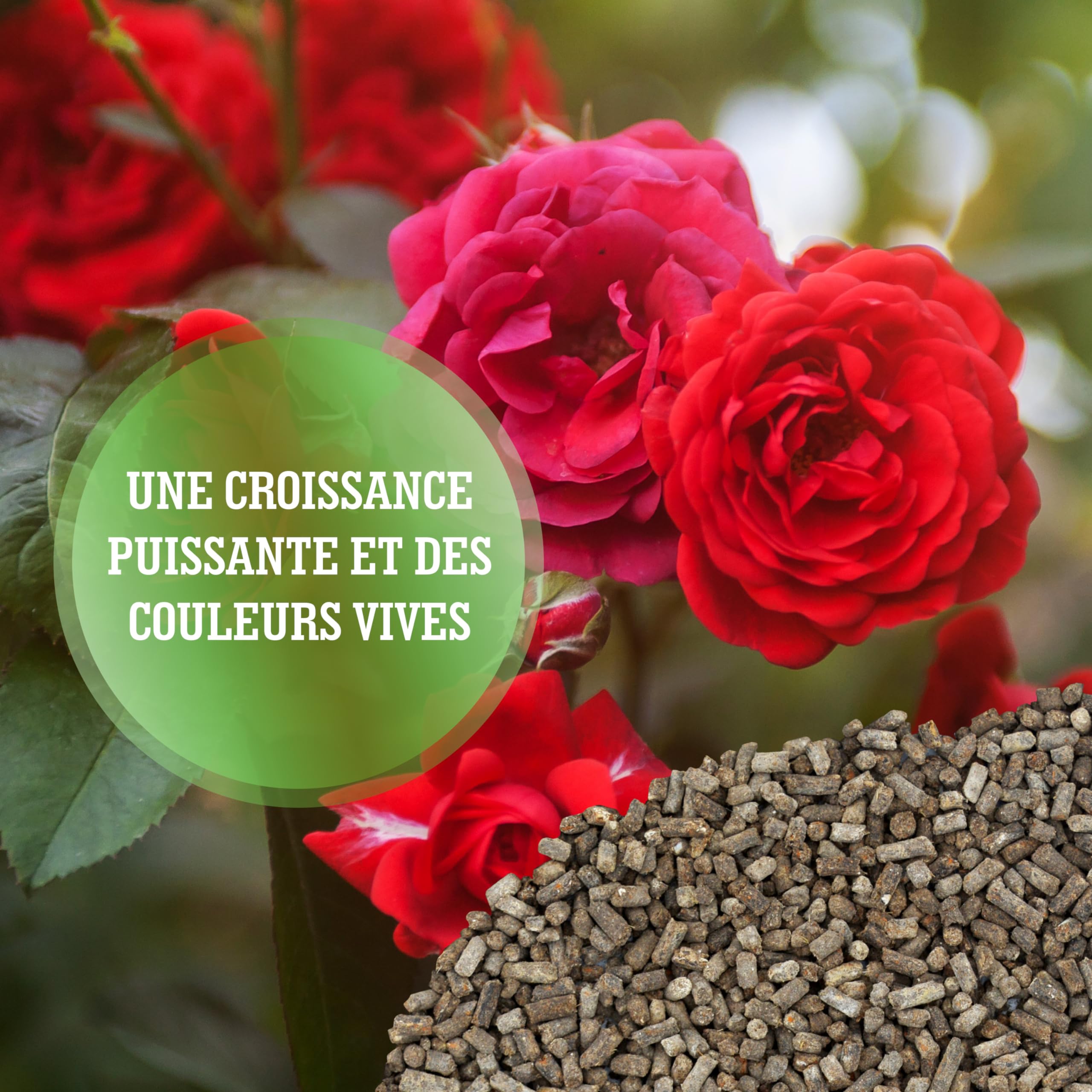LERAVA® Engrais Rosier et Arbustes à Fleurs (800 g) - Engrais Bio Naturel - Favorise Croissance Vigoureuse et Couleurs Éclatantes - Engrais Rosier Extérieur et Plantes Fleuries - 100% Made in Italy
