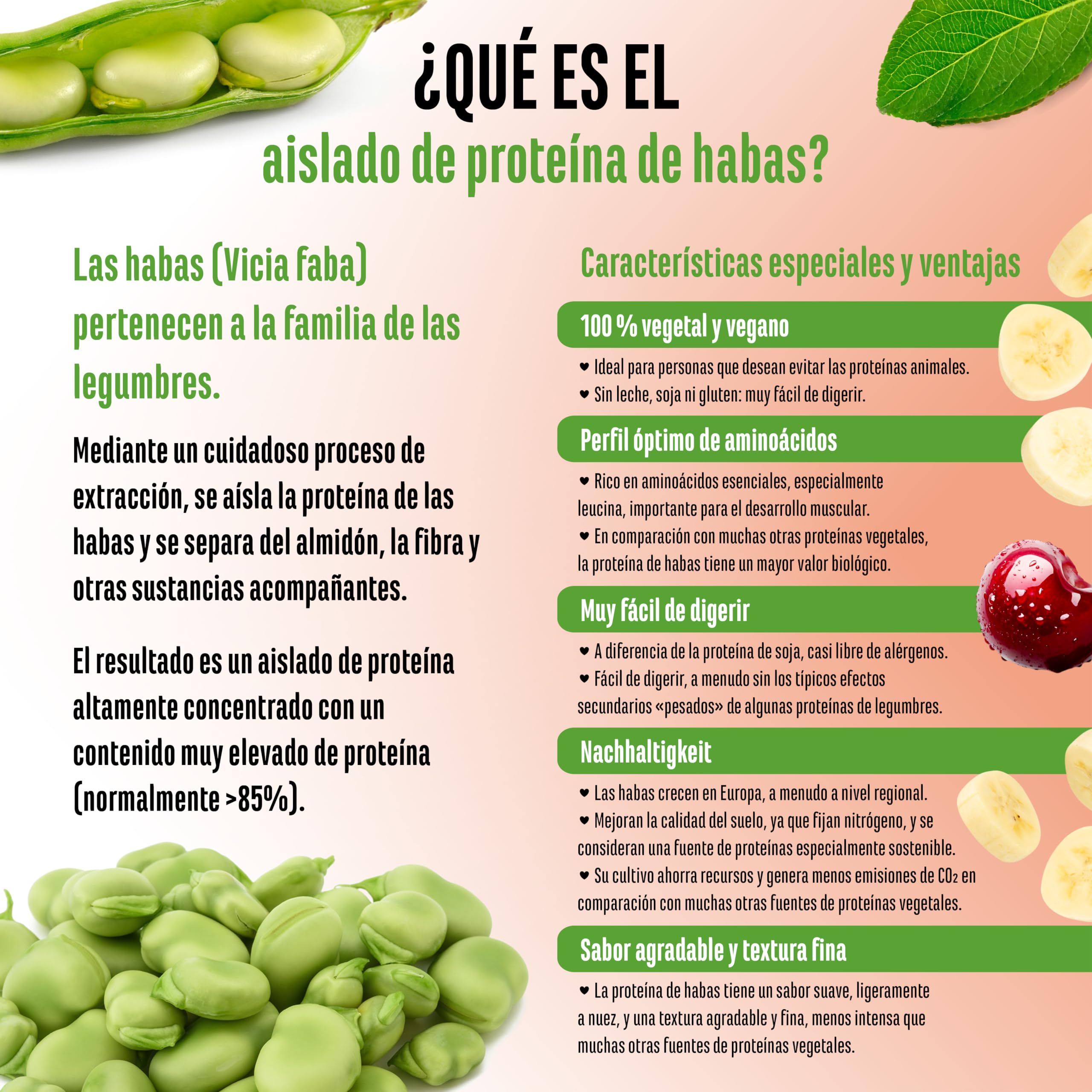 Yummy Vegan Protein Kiba Smoothie – Batido proteico vegetal con 24,3 g de proteína por porción a partir de aislado de haba (fava) con BCAA y aminoácidos – 908 g