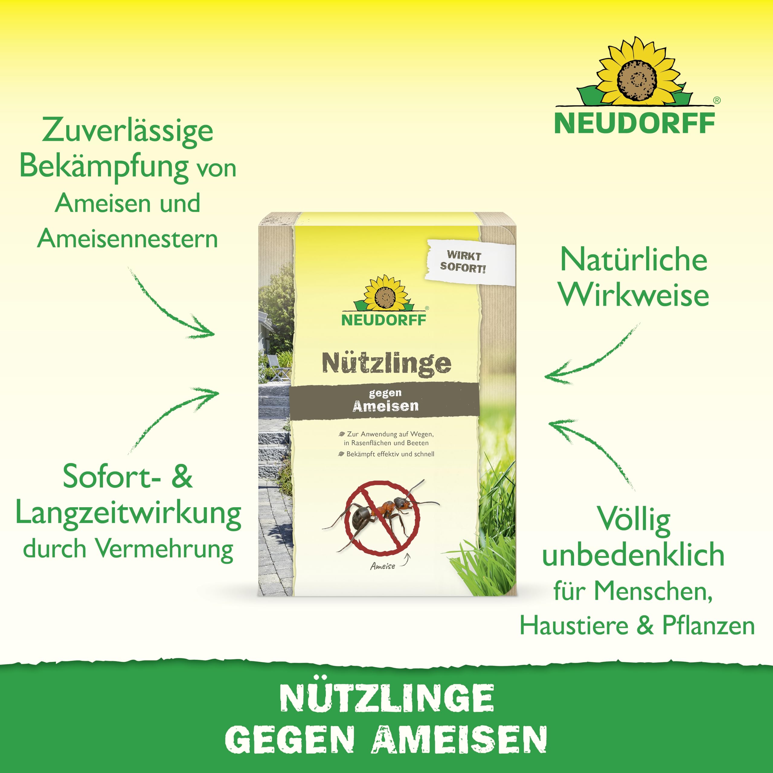Neudorff Nützlinge gegen Ameisen – 10 Mio. SF-Nematoden zur natürlichen und schnellen Bekämpfung von Ameisen und Ameisennestern auf Rasen, Wegen & Co.