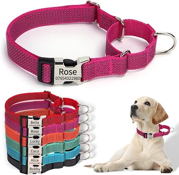SEOUGEE Martingale Dog Collar Personalised, Reflective Nylon Escape-proof Anti-pull Dog Collars with Custom Engraved Metal Buckle, Walking Training Daily Used for Medium Dogs M Rose Red, 40-55cm