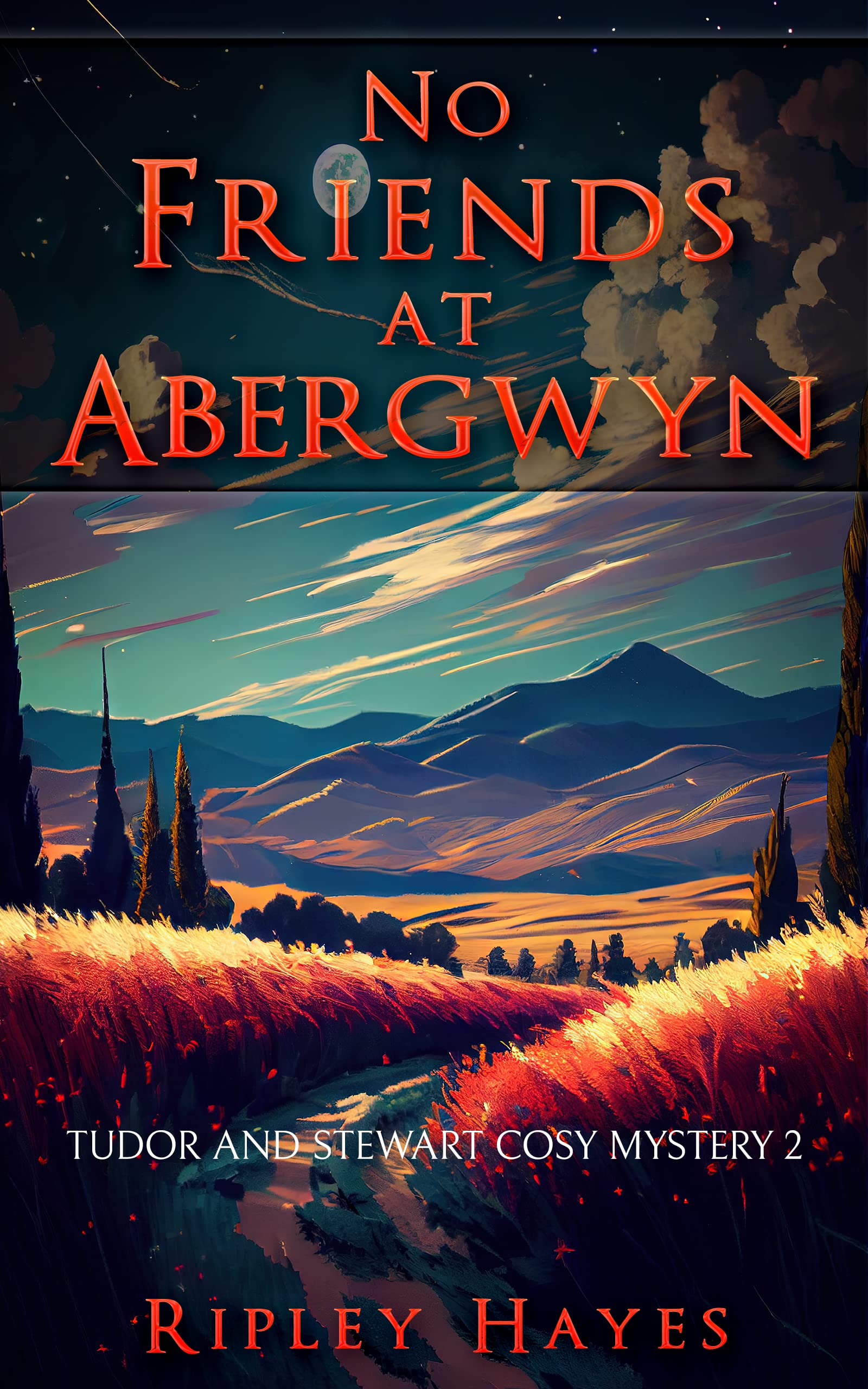 No Friends at Abergwyn: Tudor and Stewart Cosy Mystery 2 (Tudor and Stewart Abergwyn Mysteries)