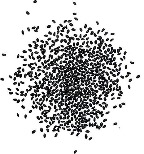 Miniatura 6 de Seed Needs Semillas de albahaca para plantar hierbas italianas de hojas grandes, reliquia sin OMG y sin tratar, cultiva un jardín de hierbas