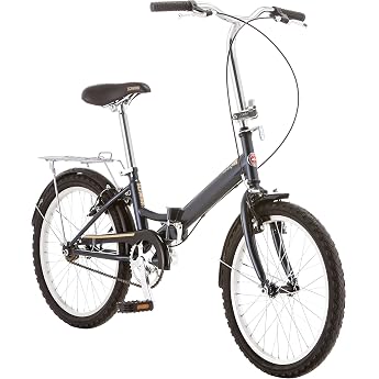 Schwinn Loop