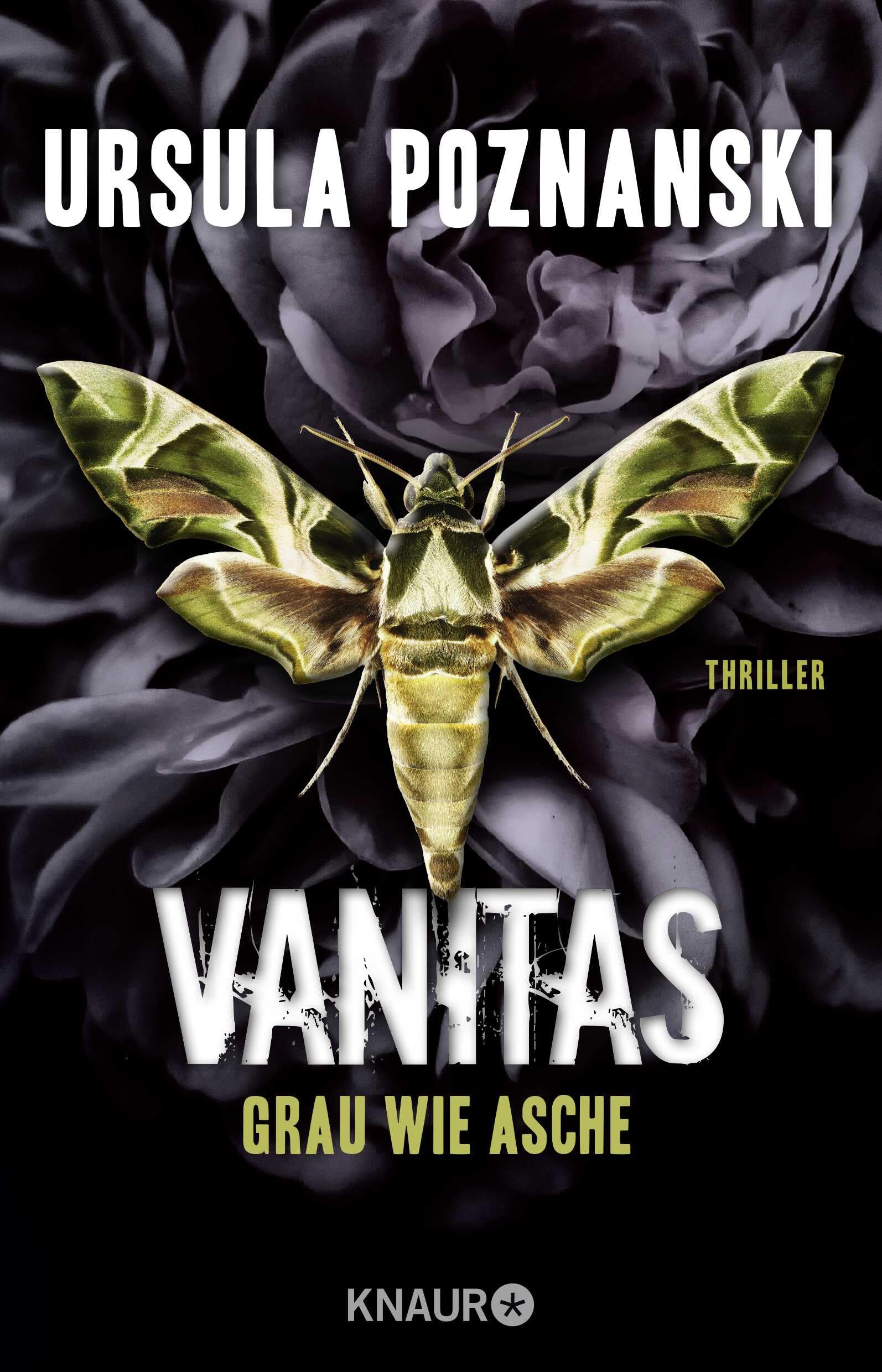 VANITAS - Grau wie Asche: Thriller (Die Vanitas-Reihe, Band 2)