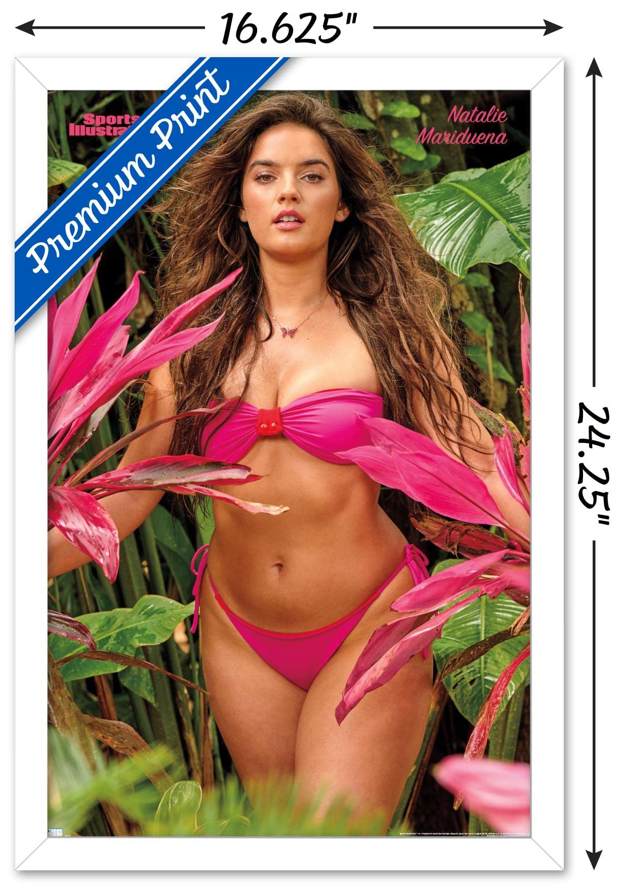 Amazon.com: Trends International Sports Illustrated: Swimsuit