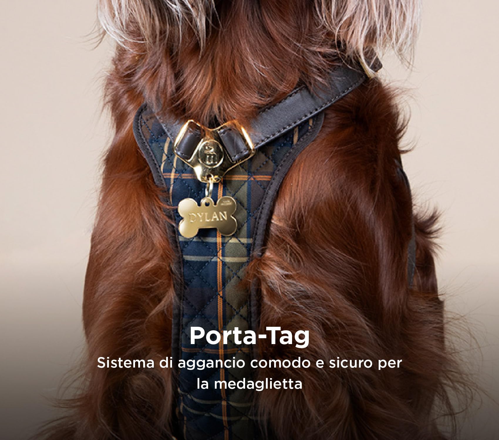 MyFamily Pettorina Cane in Vera Pelle Made in Italy, Finiture Metalliche Placcate in Oro 24K, Abbraccio ad H, Collezione Hermitage