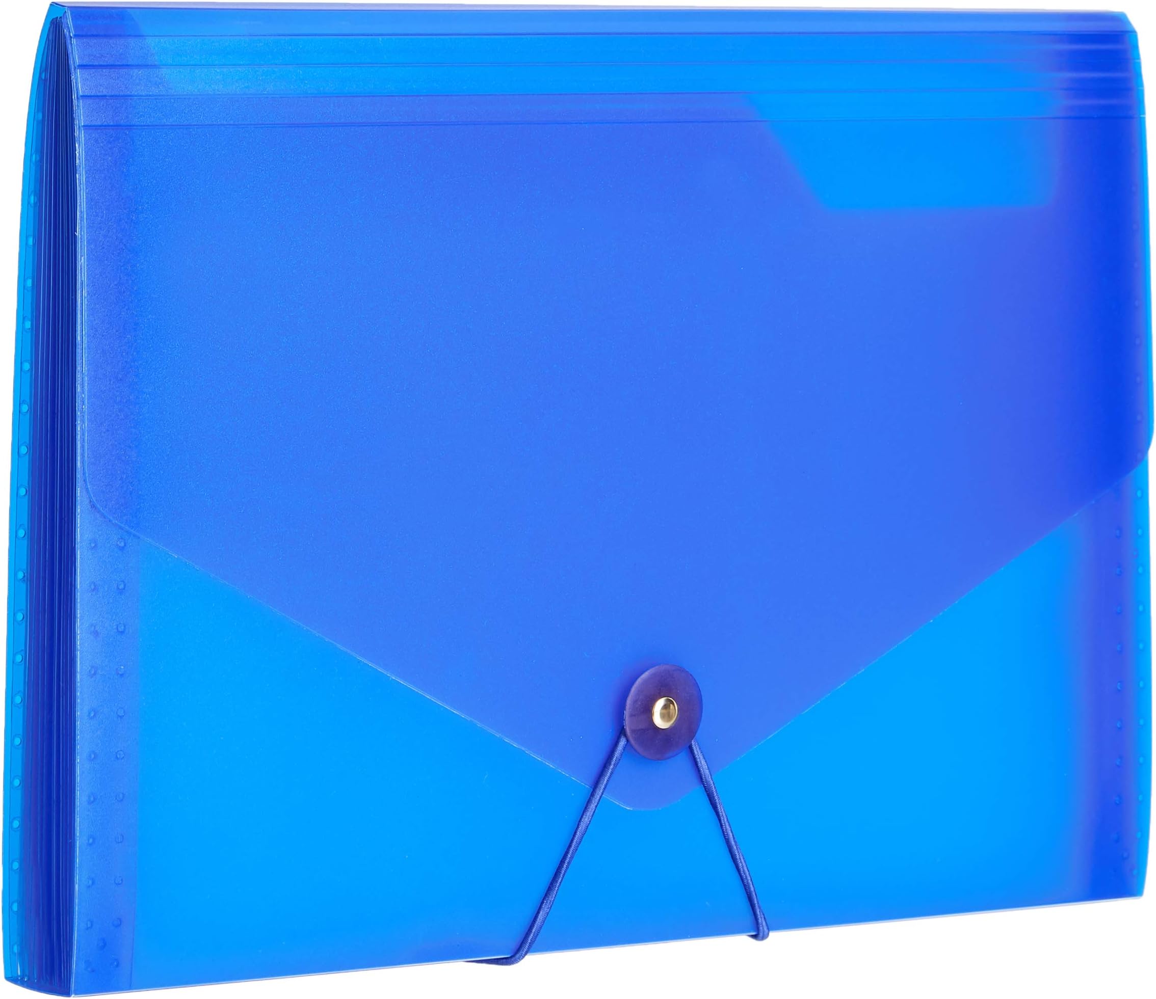 Amazon Brand - Solimo Expanding File, 13 Pockets - (Blue)