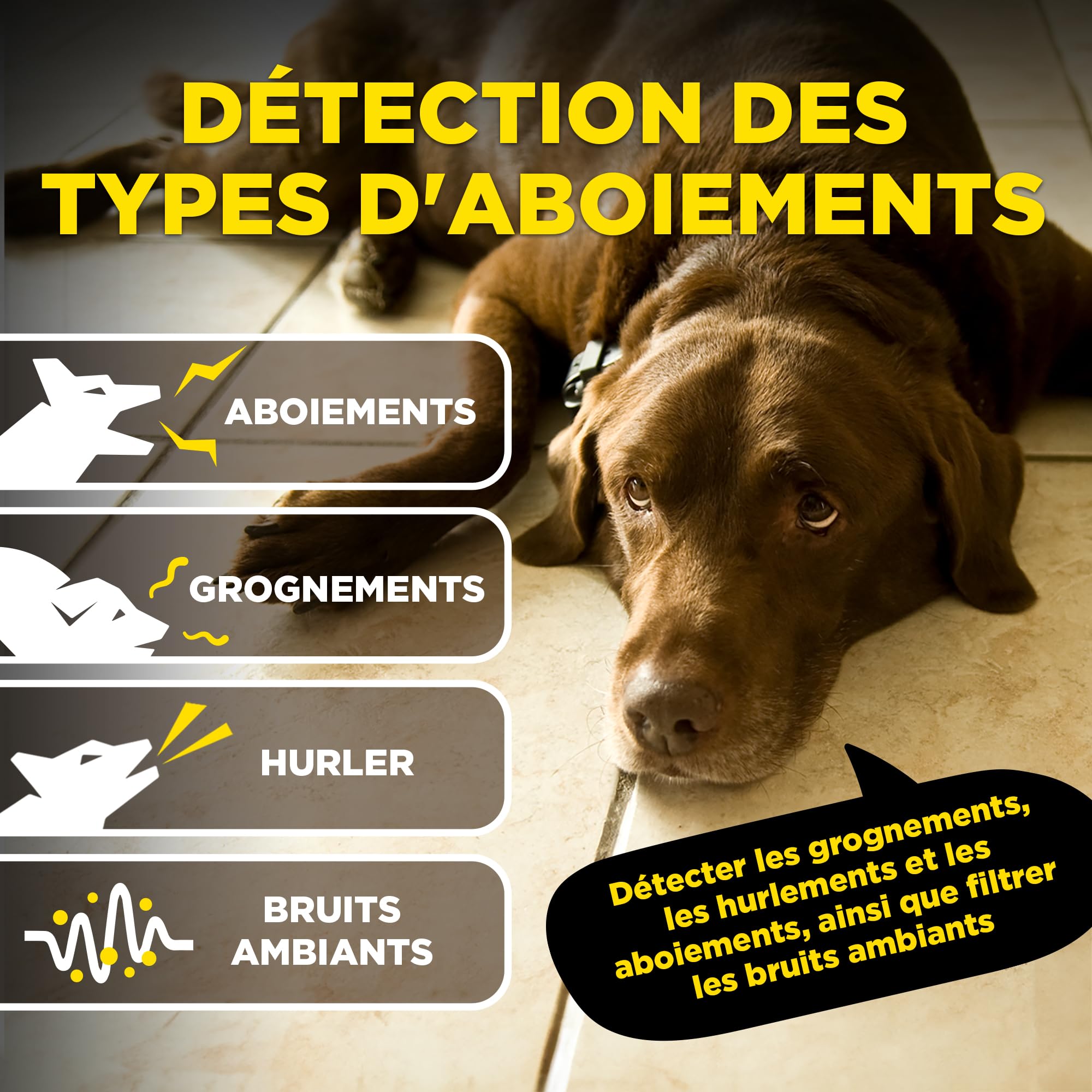 Dogtra Smart NOBARK Collier Anti-aboiement, détecte gémissements et aboiements, contrôle Via app, étanche (IPX9K), Dressage portée 30m, pour Chiens de Petite Taille.
