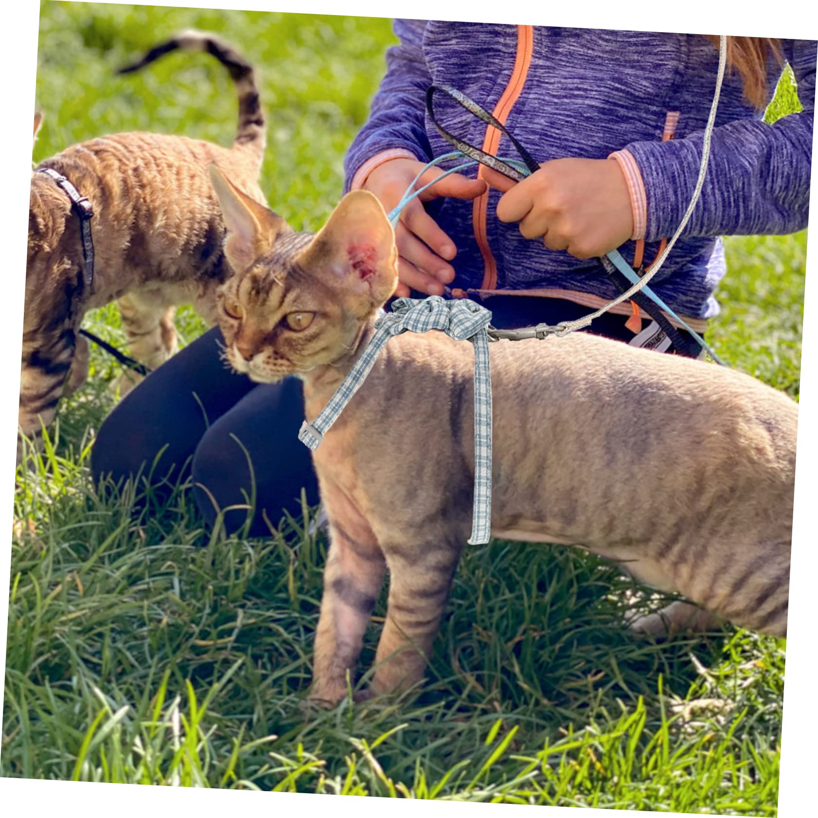 Didiseaon 4sets Per Gatti Regolabile Con Guinzaglio Di Pettorina Per Gatti Da Massimo Comfort e Sicurezza Durante Le Passeggiate