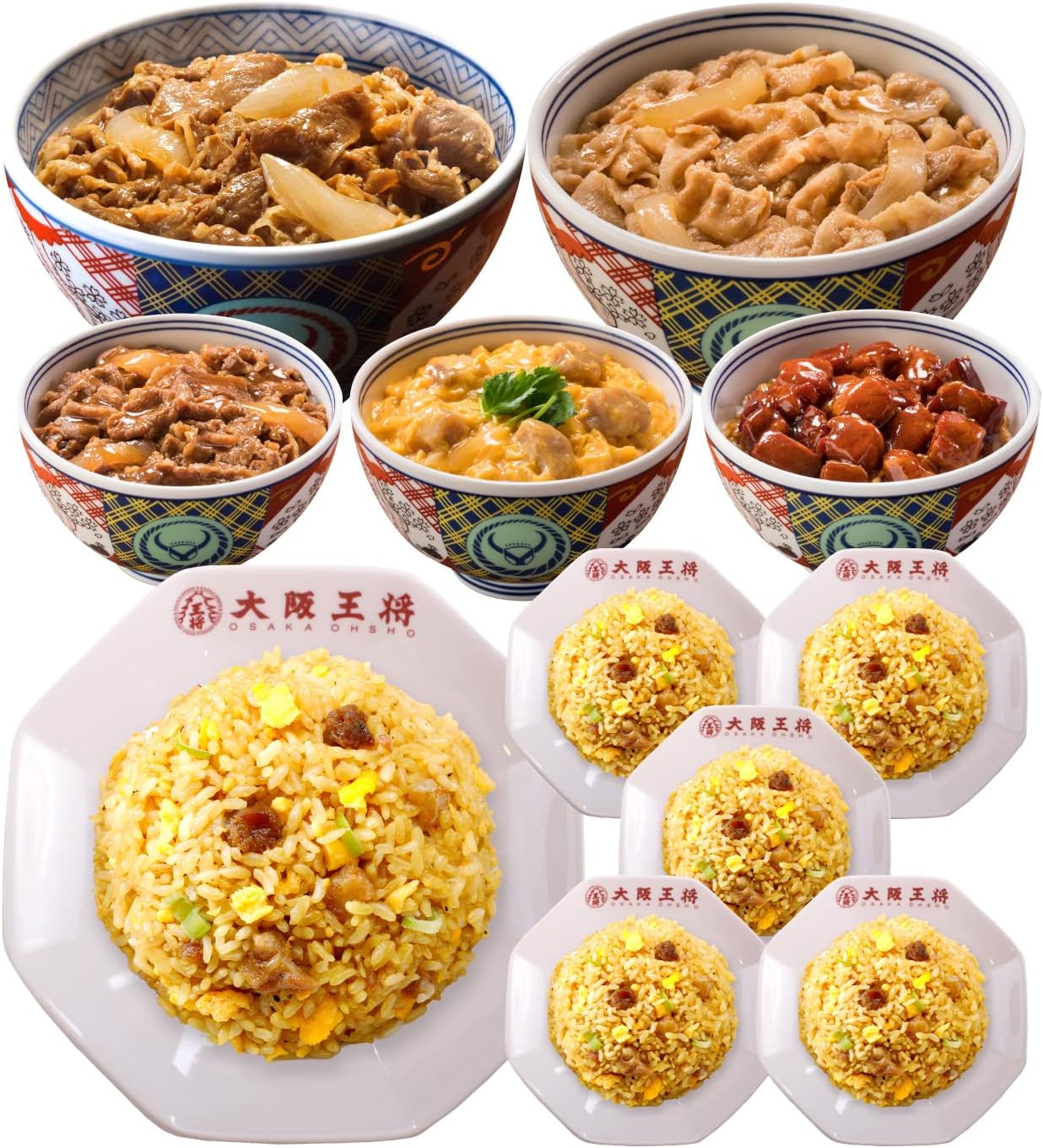 吉野家 大阪王将 丼の具 チャーハン詰め合わせセット 合計10食 どんぶり 冷凍食品 通販 牛丼の具 親子丼 豚丼 牛焼肉丼 焼鶏丼 有名人芸能人