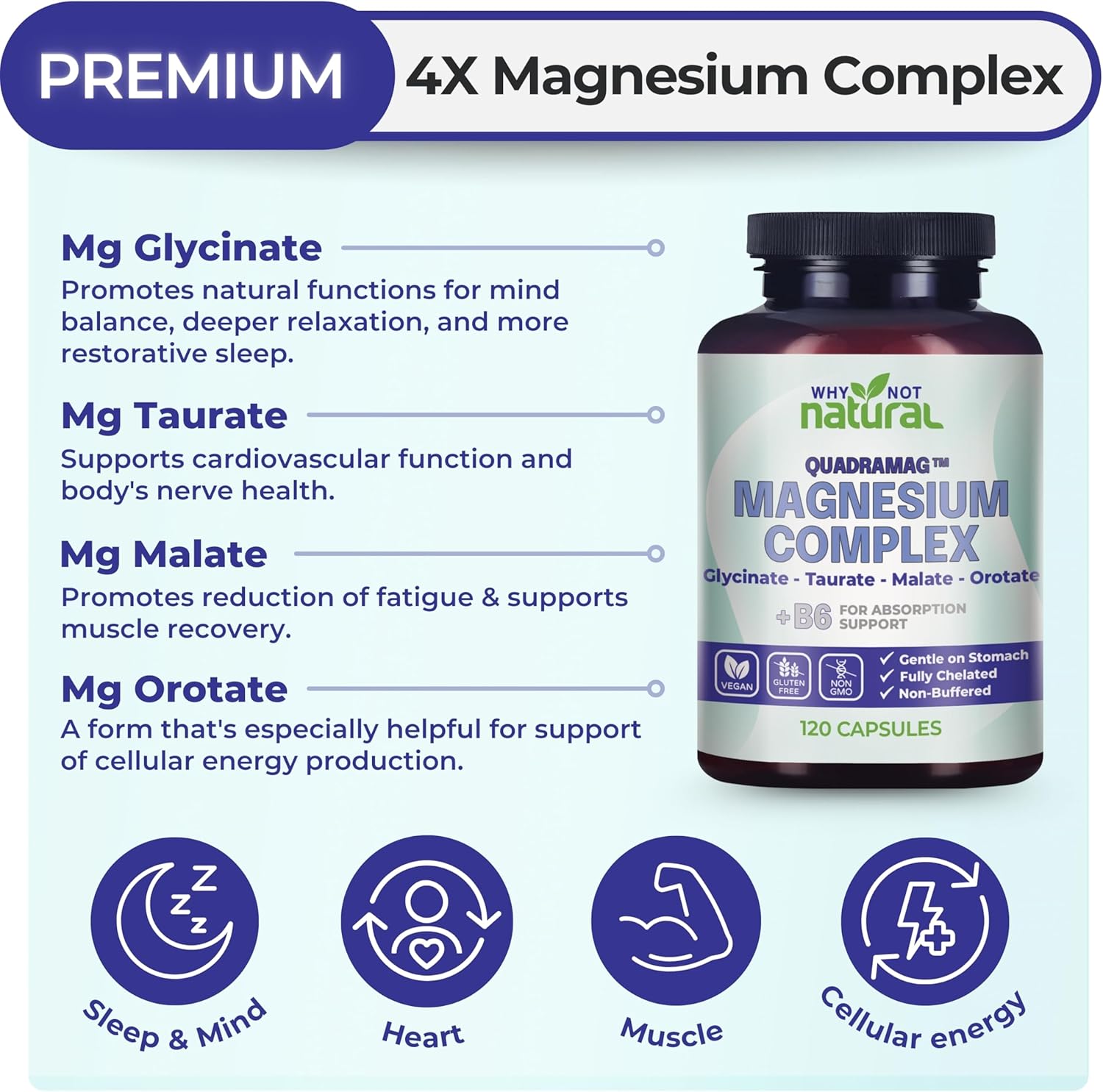 4-in-1 Magnesium Complex Supplement - Glycinate, Taurate, Malate, Orotate Blend - 300 mg per Serving, 120 Capsules