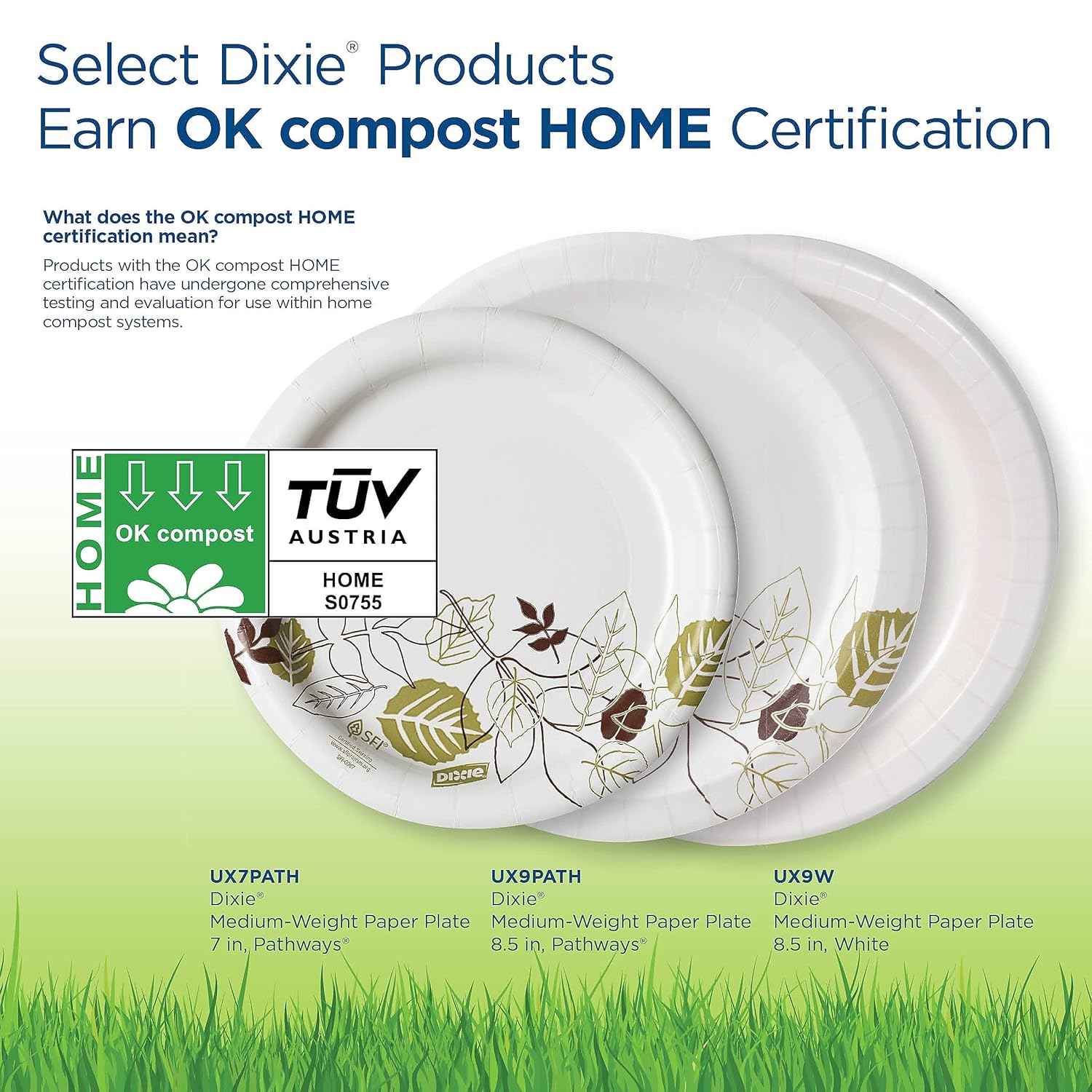 Dixie UX9WS Pathways Soak-Proof Shield Paper Plates, 8 1/2, Grn/Burg, 125/Pk, 4 Pks/Ct
