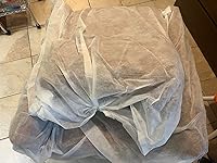 Review Image by Chenjun Wu Chenjun Wu