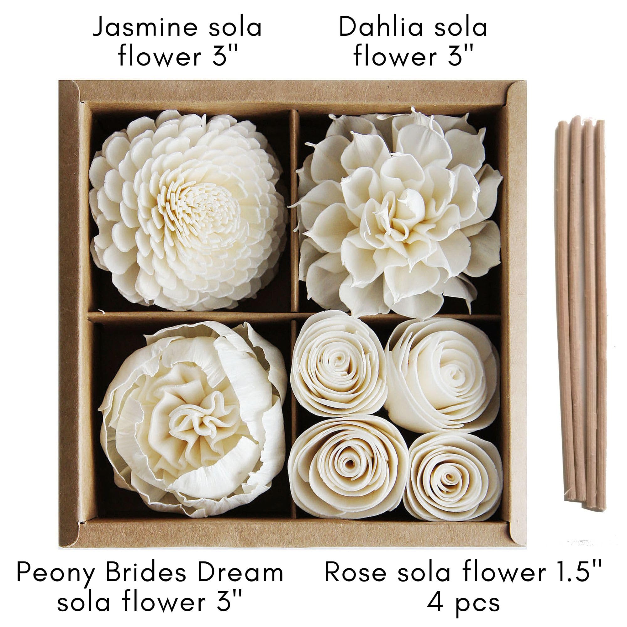 Pas de Fleurs リトグラフ 3/100 Amazon.com: plawanature 4 Mixed Sola Flower Eco-Friendly Fragrance