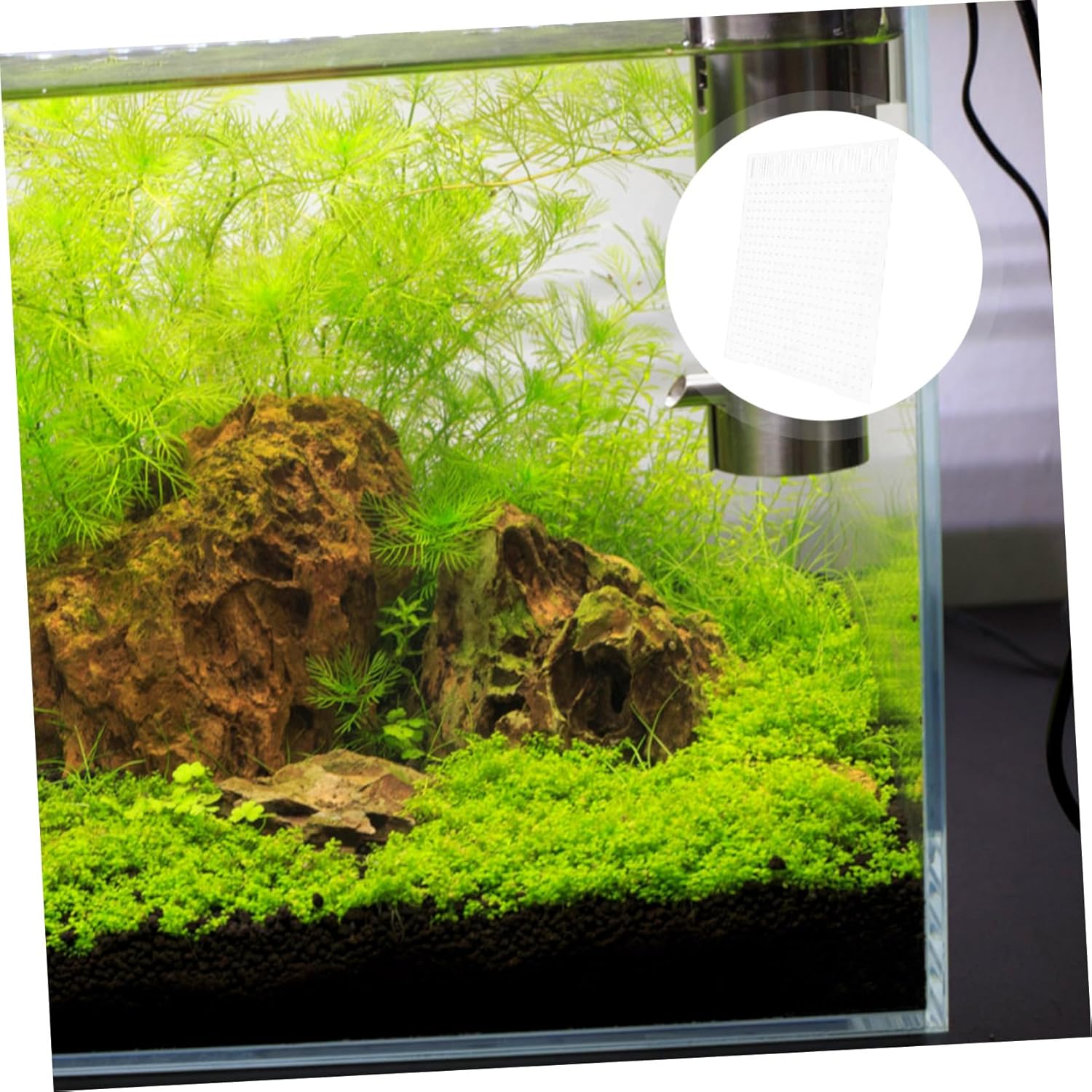 Totority Fish Tank Isolation Board Transparent Acrylic Divider Breeding Separation Net Fish Tank Supplies