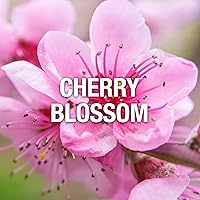 Vista 4 de Giorgio Beverly Hills Red - Perfume para mujer, Eau de Toilette EDT en aerosol, regalo para ella, 3 onzas líquidas